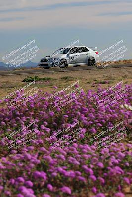 media/Jan-08-2023-SCCA SD (Sun) [[8f6a5b9391]]/Intermediate Group/Session 2 (Short Straight)/